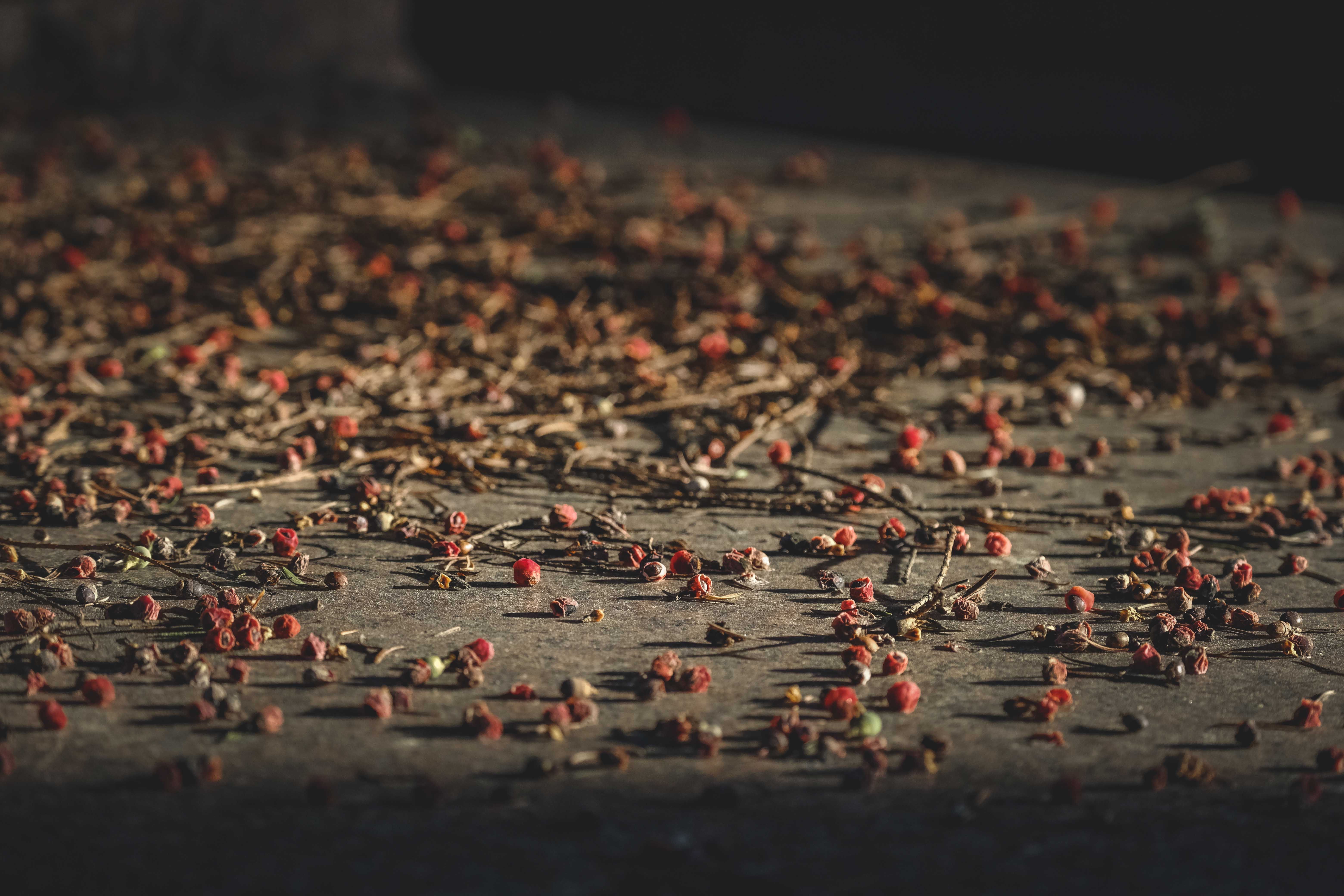 A melancolia – AEFC